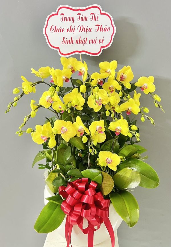 cach-viet-loi-chuc-hoa-sinh-nhat-2 Lan Hồ Điệp mừng sinh nhật