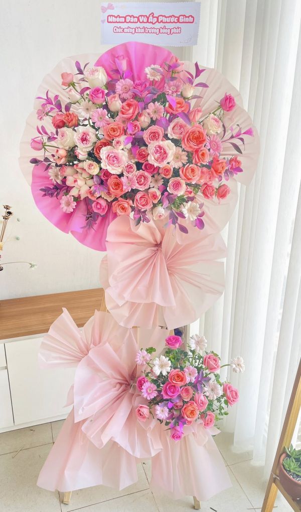 Hoa đồng tiền khai trương