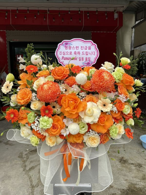 Hoa đồng tiền khai trương