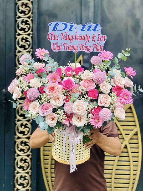 Hoa đồng tiền khai trương