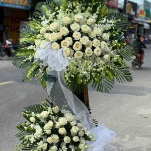 hoa chia buồn