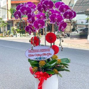 lan hồ điệp tím