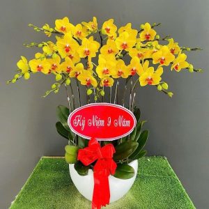 lan hồ điệp vàng